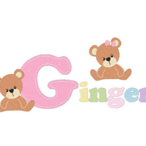 Baby Bear Embroidery designs