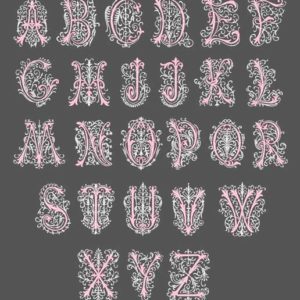 Flourish Swirl Monogram Embroidery letters