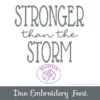 Stronger than the Storm Duo Font