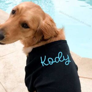 Lollipop Embroidery Font dog