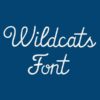 Wildcats Casual Font Embroidery