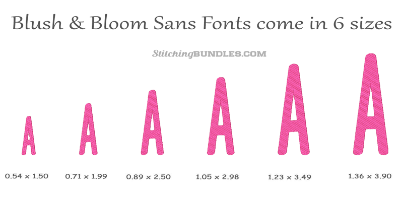 Blush & Bloom Duo Embroidery Font sans